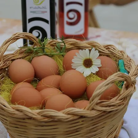 Guest house Masusa Agri Resort