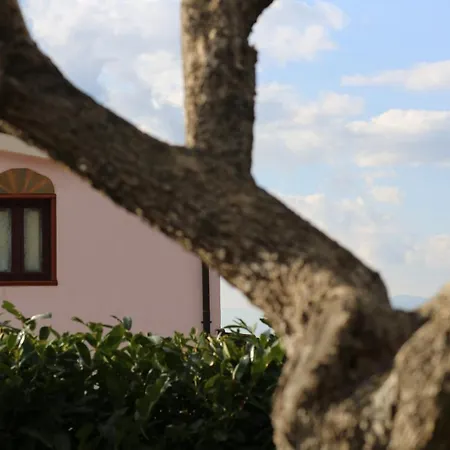 Masusa Agri Resort Guest house
